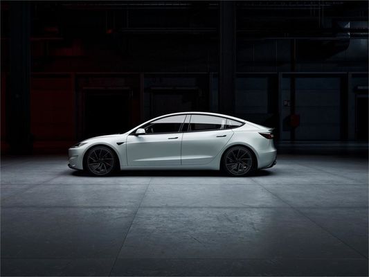 Pure Electric Model3 556 km Hinterradantrieb mit 2875 mm RADENBAU