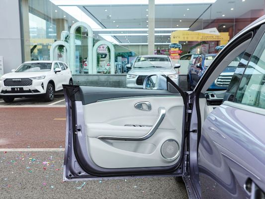 2024 Langstrecken-Version 500 km Innenraum Luxus Fahren Glatte Ora Good Cat Mini Ev Elektroauto