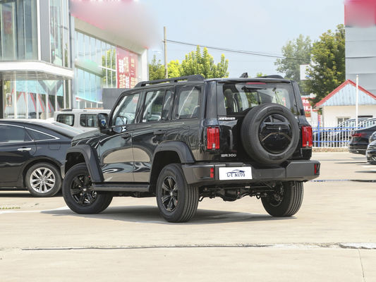 2024 Tank 300 Cross-Country 2.0T Turbo Benzin SUV mit maximalem Drehmoment Nm von 300-400Nm