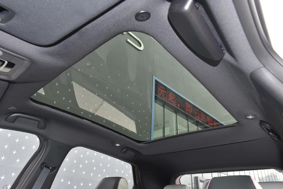 Beste BYD Dolphin 5 Sitzkompakte Limousine Batterie Elektrofahrzeug mit Lithium-Batterie