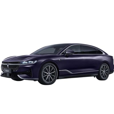3000 mm RADENBAUER reine elektrische Kraft Voyah Jagd Licht Zhuiguang Plug-in Hybrid-Auto