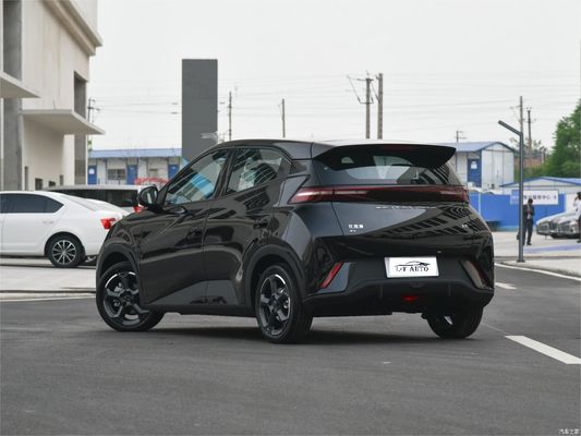 Rein elektrische BYD Seagull 4-Sitzer-Hatchback-Energiefahrzeuge mit LiFePO4-Batterie 2024