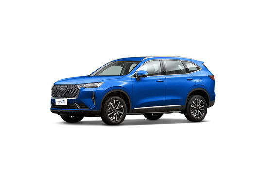 Maximalleistung Ps 100-150Ps Haval H6 2.0T Fahrzeuggeschwindigkeit Allradantrieb Sportfahrzeug