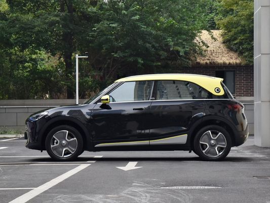 66.0kWh Lithiumbatterie mit Ternärer Lithiumbatterie