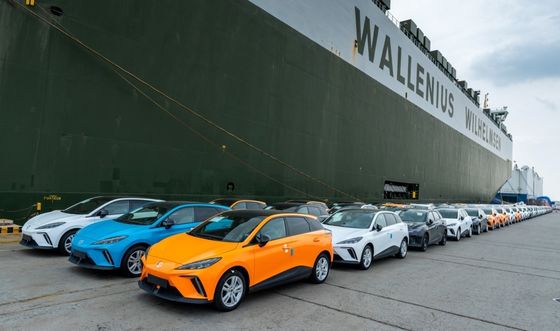 66.0kWh Lithiumbatterie mit Ternärer Lithiumbatterie