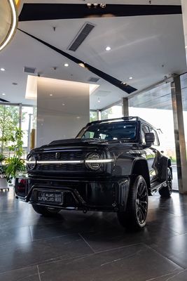 Maximale Leistung Ps 150-200Ps Der beste Tank 300 für Offroad-Abenteuer