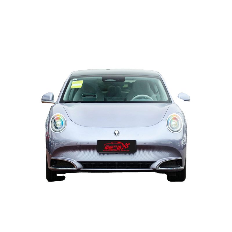 2024 Langstrecken-Version 500 km Innenraum Luxus Fahren Glatte Ora Good Cat Mini Ev Elektroauto